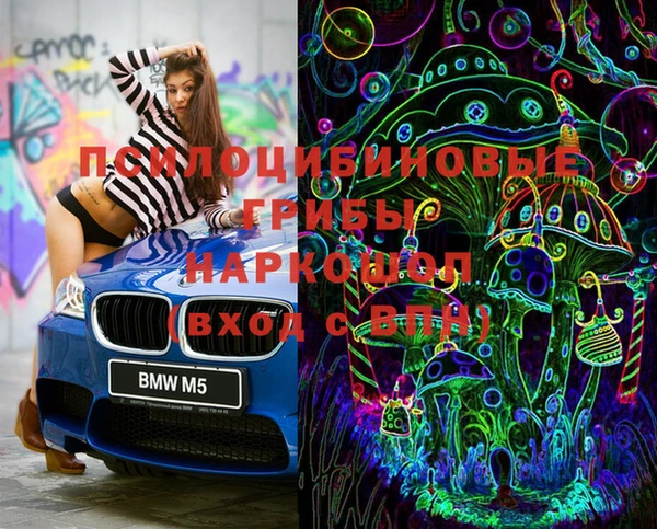 крисы Каменногорск