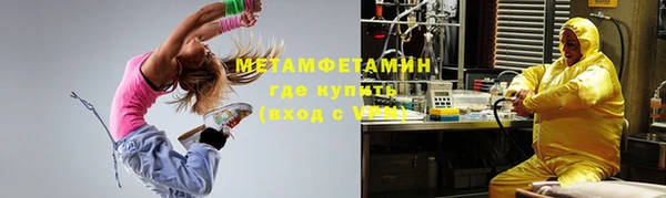 крисы Каменногорск