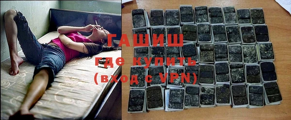крисы Каменногорск