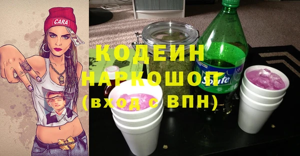 крисы Каменногорск