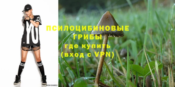 крисы Каменногорск