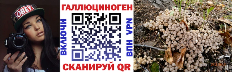 Галлюциногенные грибы Magic Shrooms  Купить закладки  Искитим 